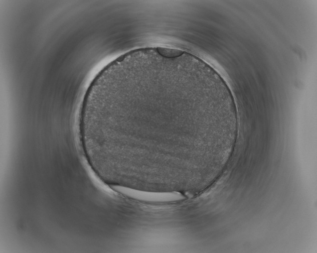 X0000112911152200909211026