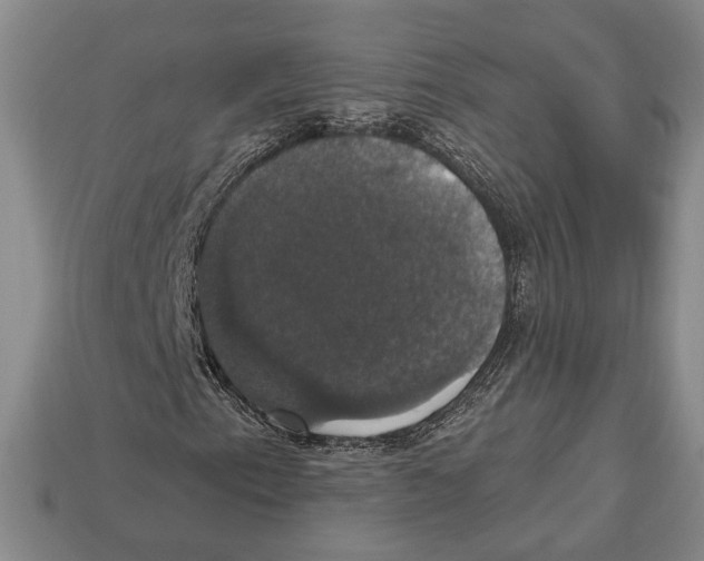 X0000112911153200909211025