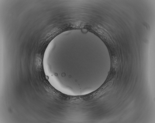 X0000112911154200909211025