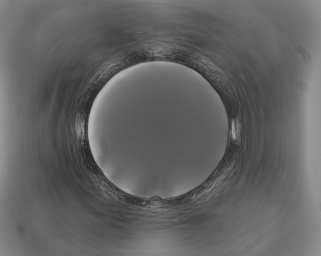 X0000112911155200909211025