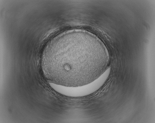 X0000112911157200909211025