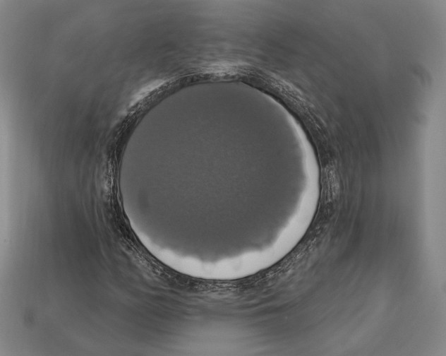 X0000112911158200909211025