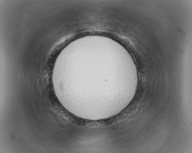 X0000112911159200909211025