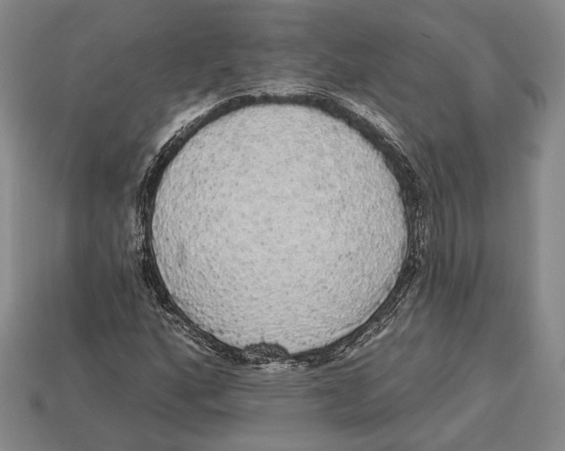 X0000112911160200909211025