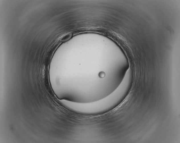 X0000112911161200909211025