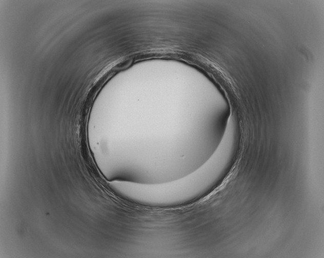 X0000112911162200909211025