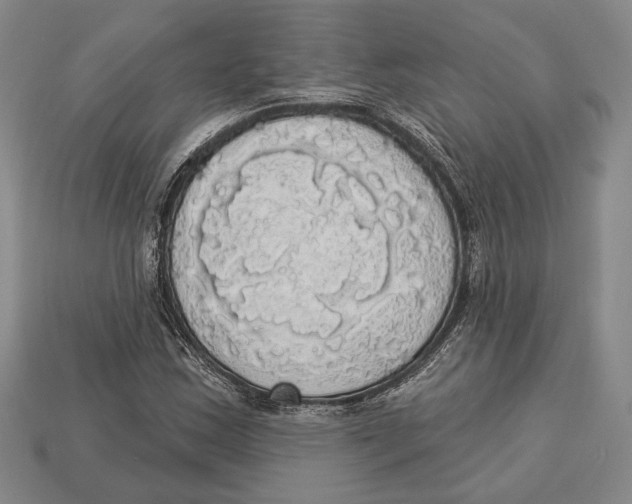 X0000112911163200909211025