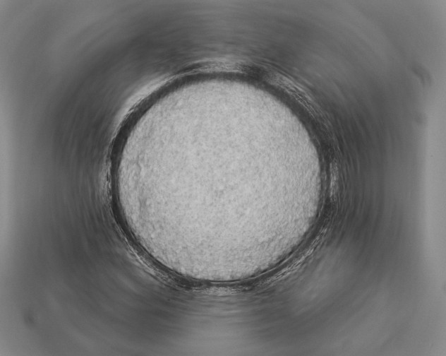 X0000112911164200909211025