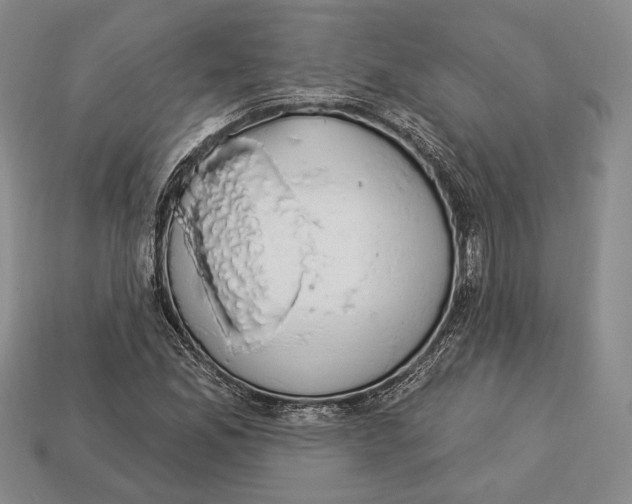 X0000112911165200909211025