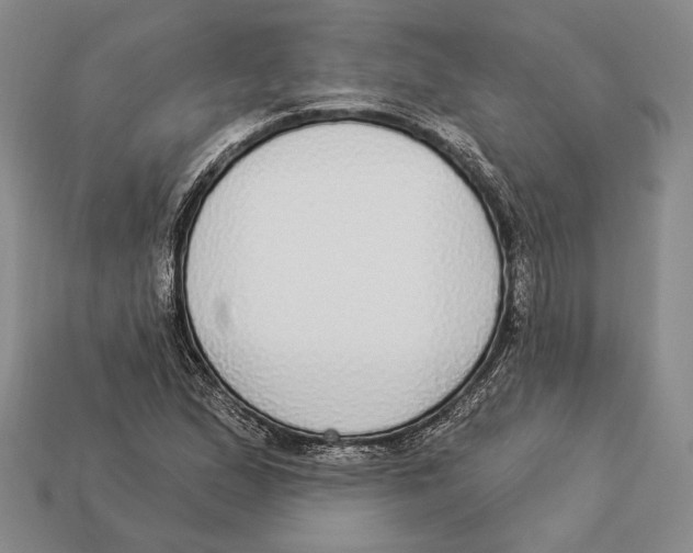 X0000112911167200909211025