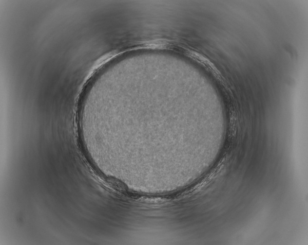 X0000112911168200909211025