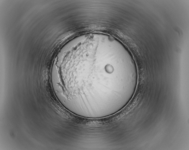 X0000112911169200909211025