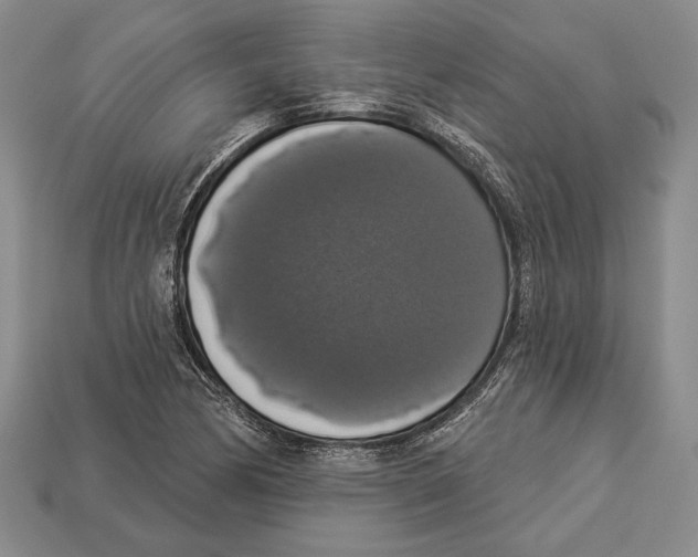 X0000112911170200909211025