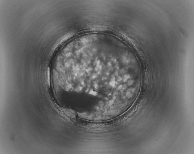 X0000112911171200909211025