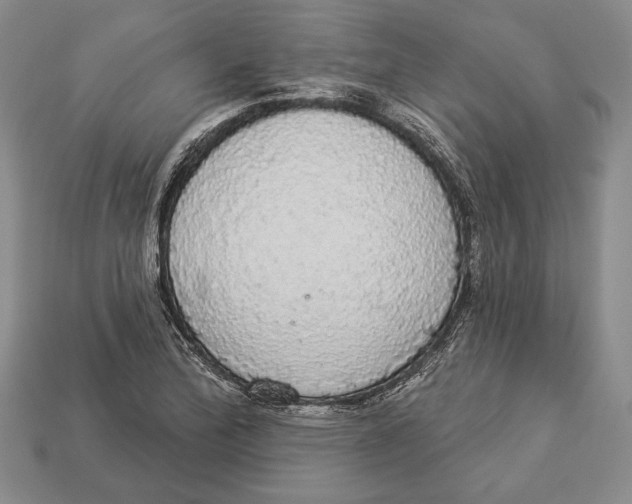 X0000112911172200909211025