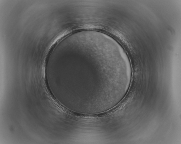 X0000112911173200909211025