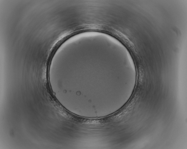 X0000112911174200909211025