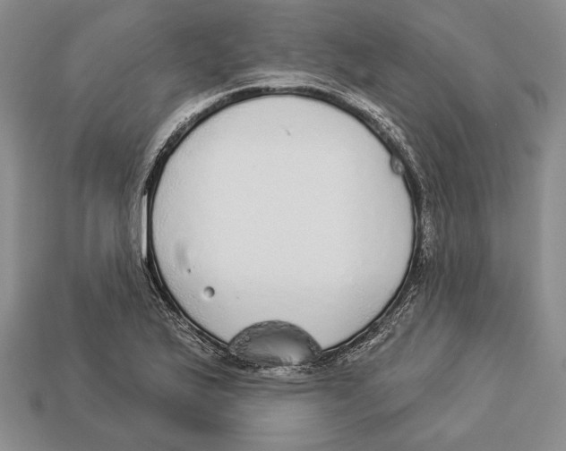 X0000112911175200909211025