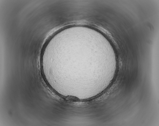 X0000112911176200909211025