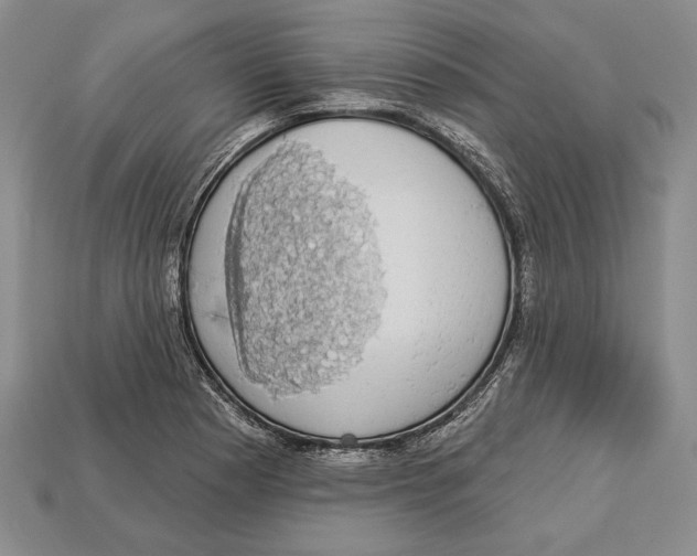 X0000112911177200909211025