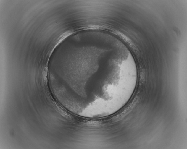 X0000112911178200909211025