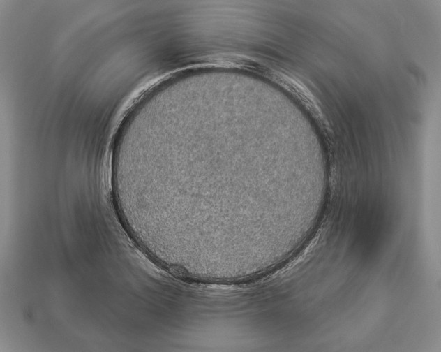 X0000112911180200909211025