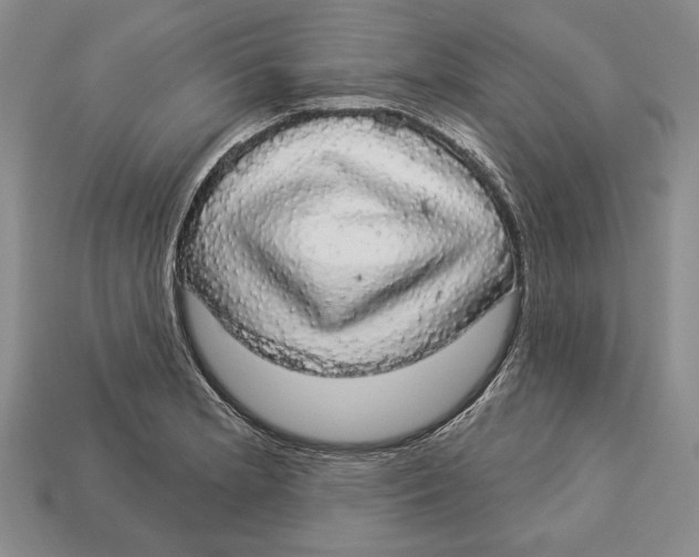 X0000112911181200909211025