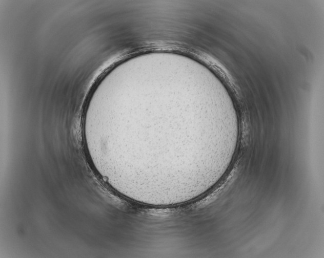 X0000112911182200909211025