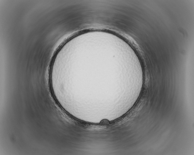 X0000112911183200909211025