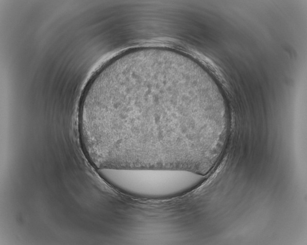 X0000112911184200909211025