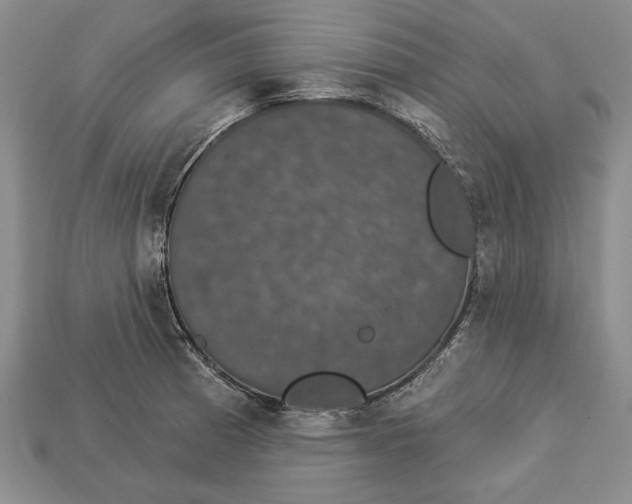 X0000112911185200909211025