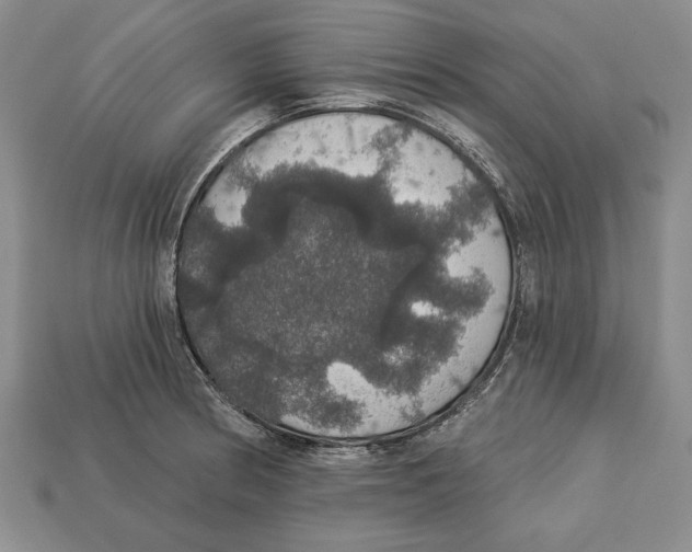 X0000112911186200909211025