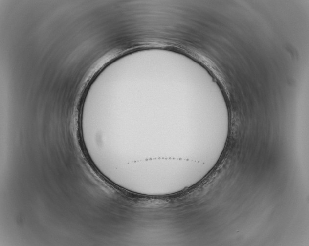 X0000112911187200909211025