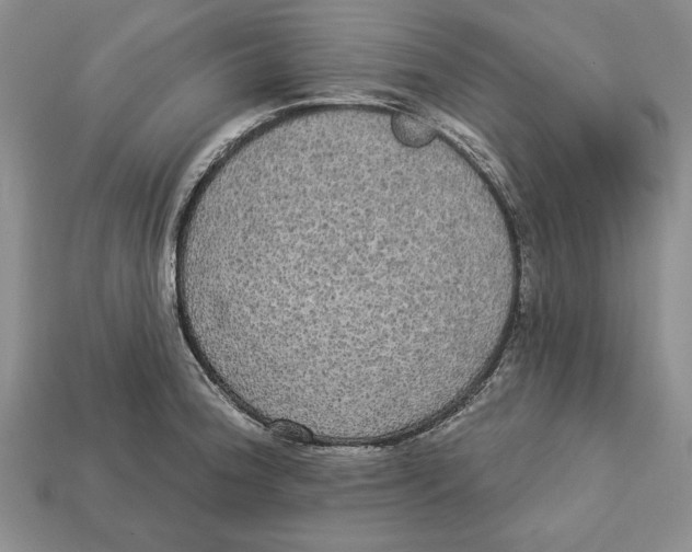 X0000112911188200909211025