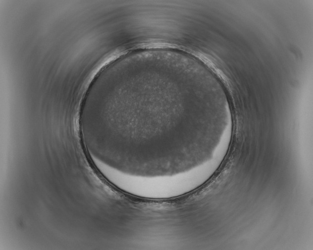 X0000112911189200909211025