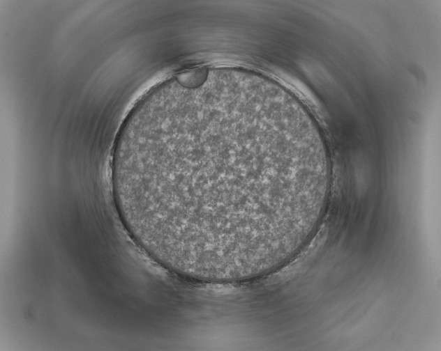 X0000112911190200909211025