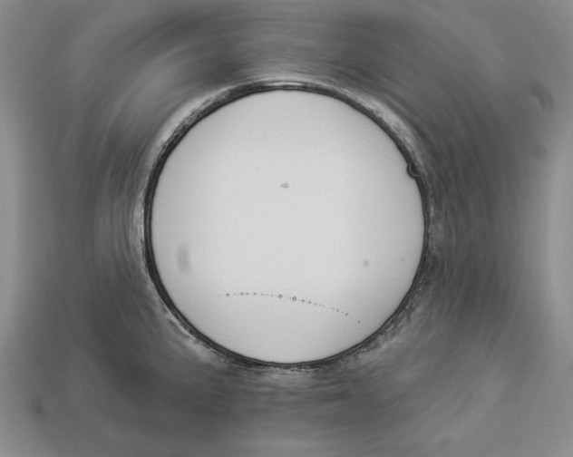 X0000112911191200909211025