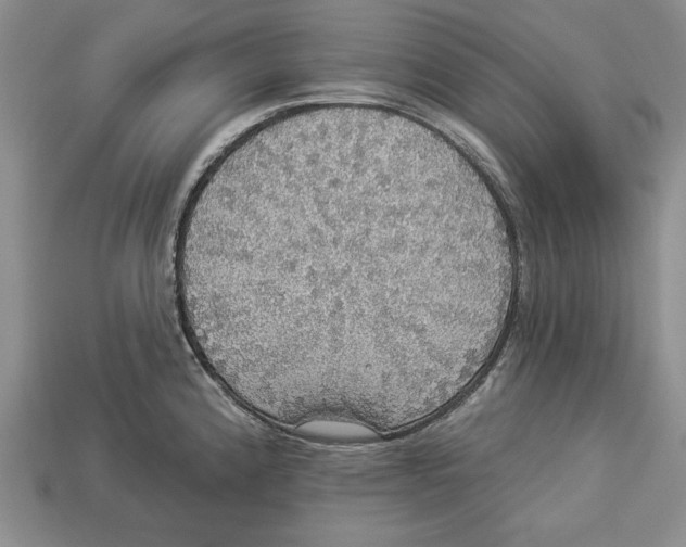 X0000112911192200909211025