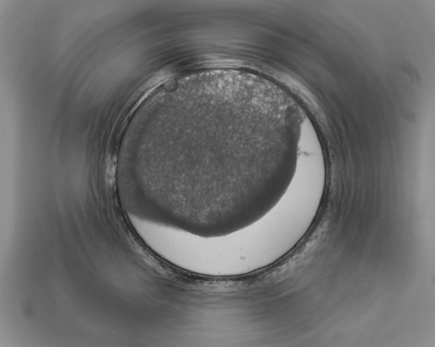 X0000112911193200909211025