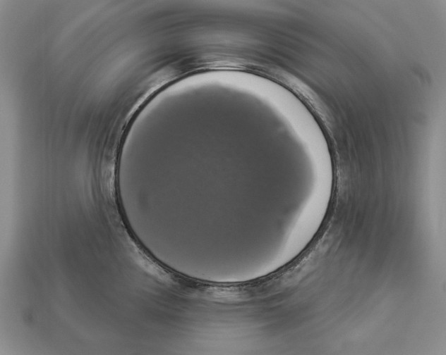 X0000112911194200909211025