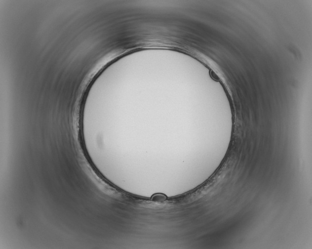 X0000112911195200909211025