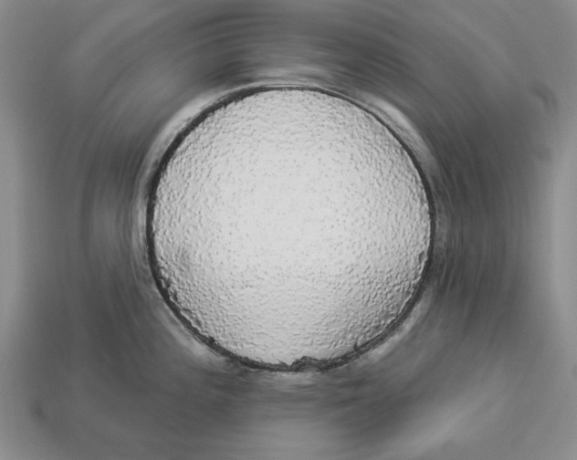 X0000112911196200909211025