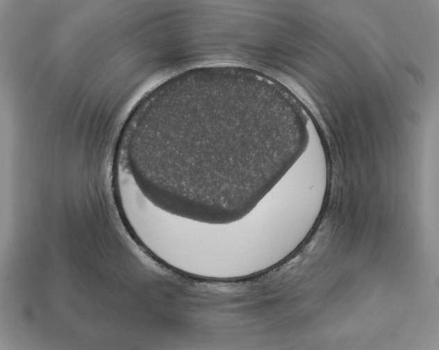 X0000112911197200909211025