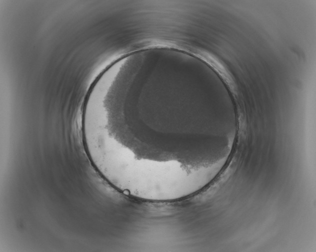 X0000112911198200909211025