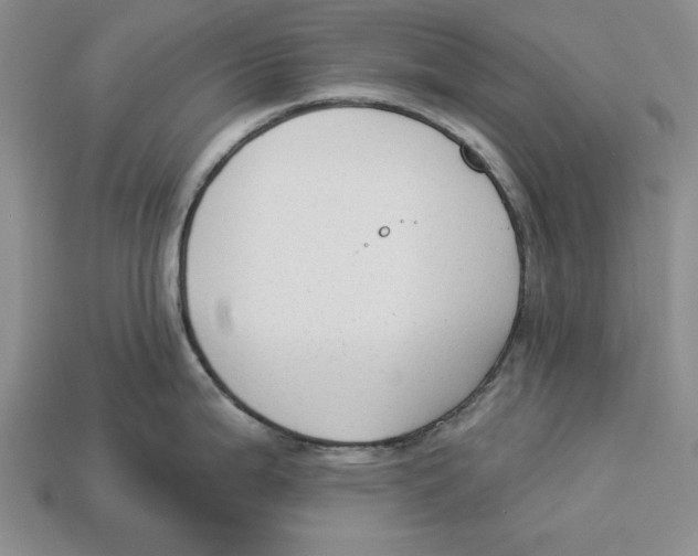 X0000112911199200909211025