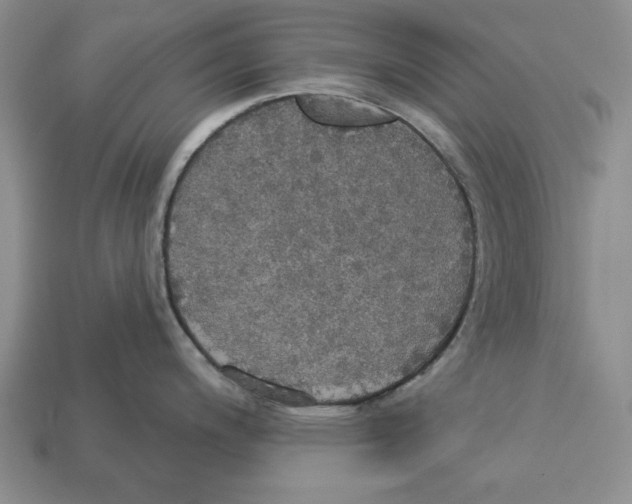 X0000112911200200909211024