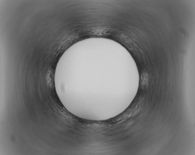 X0000112911202200909211024