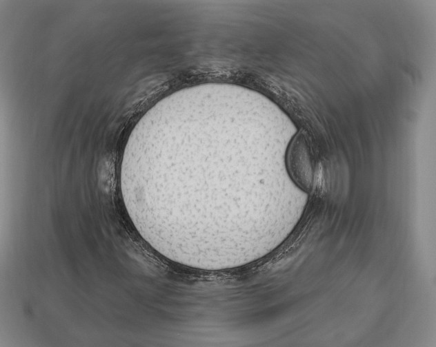 X0000112911203200909211024