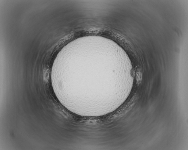 X0000112911204200909211024