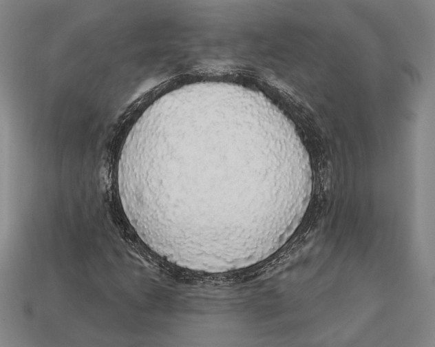 X0000112911206200909211024